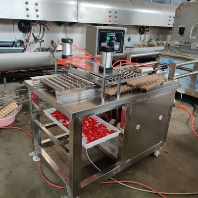 1900*900*1620mm Machine à faire du caoutchouc pour la production automatique de vitamines