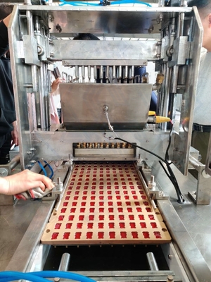 Machine de fabrication de bonbons à la gelée avancée pour les bonbons 500 kg de sortie ligne de production automatique